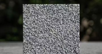 三门峡 芝麻黑荔枝面