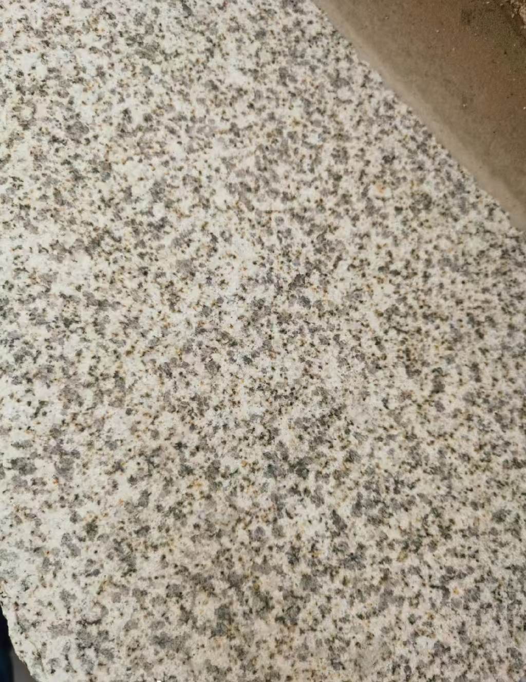 三门峡 黄金麻中黄光面