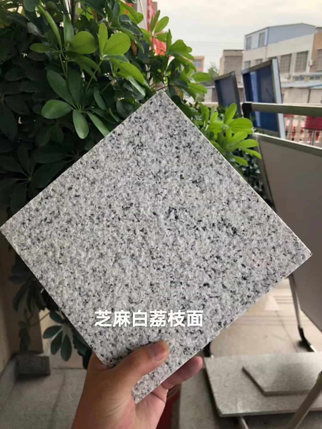 三门峡 芝麻白荔枝面干挂