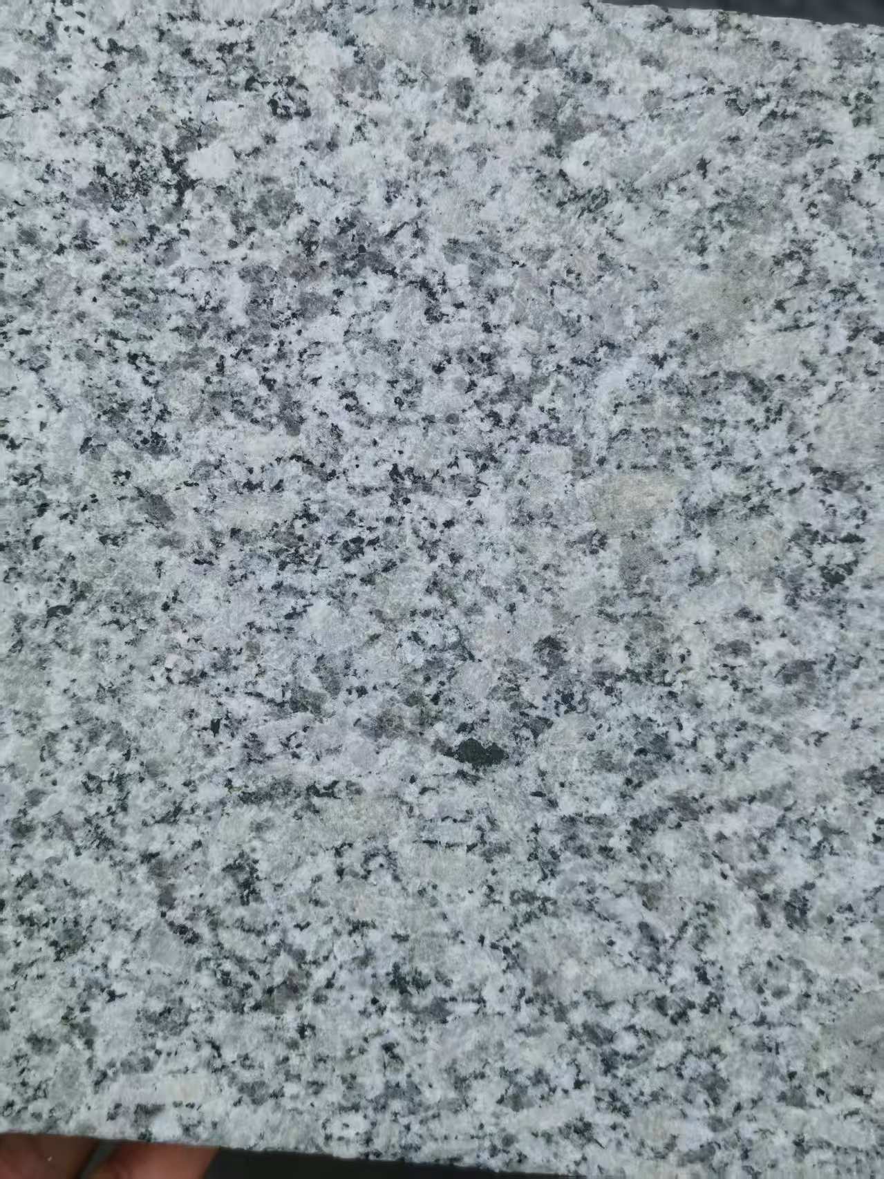 三门峡 芙蓉白火烧面